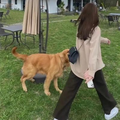理科生坠入情网